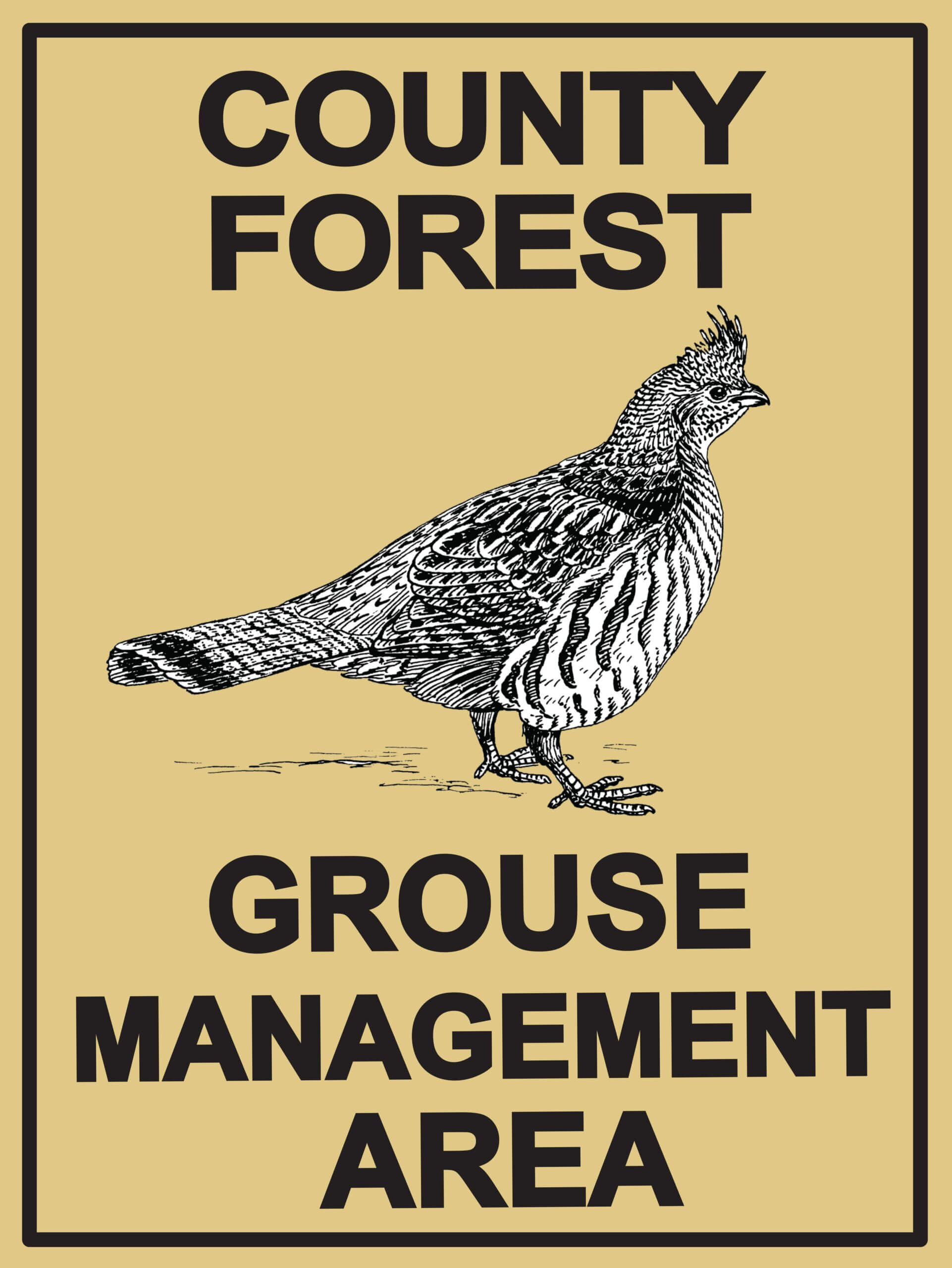 Grouse Hunting