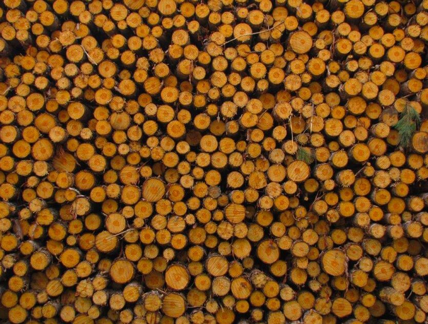 Products Made From Trees Wisconsin County Forest Association