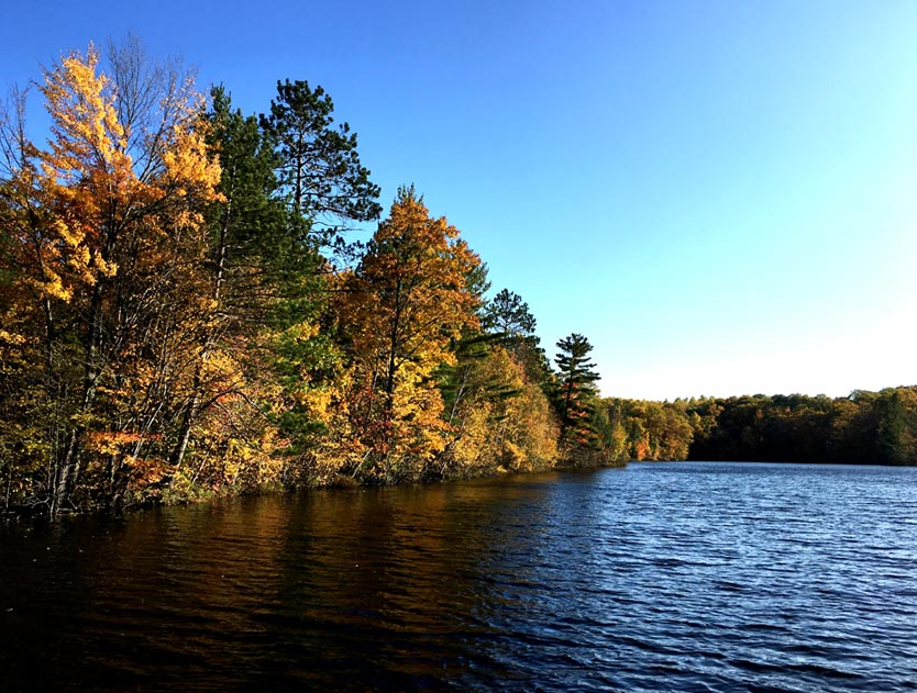 beautiful-lake-surrounded-by-forest